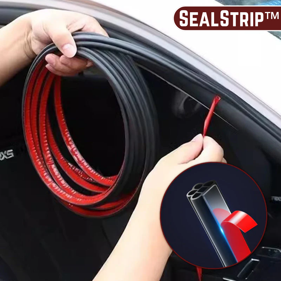 SealStrip™ | Wetterfeste Türdichtung für Autos