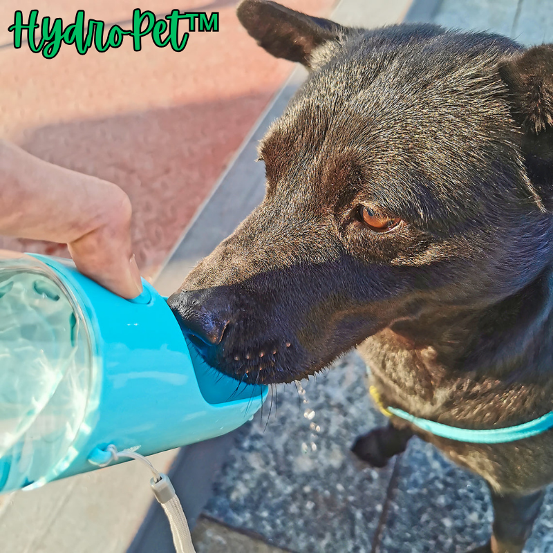 HydroPet™ | Tragbare Wasserflasche für Haustiere