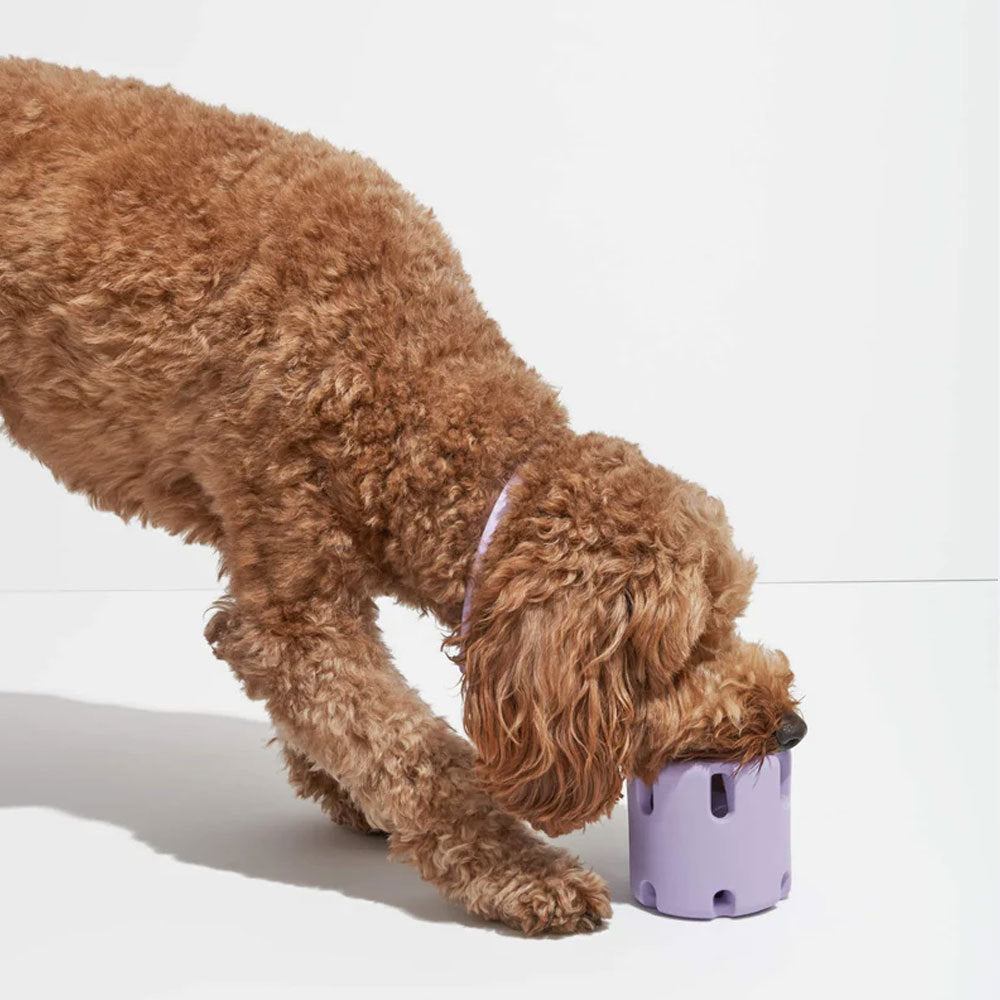 50% RABATT | FetchFun™ | Tennis Hundekauspielzeug [Letzter Tag Rabatt]