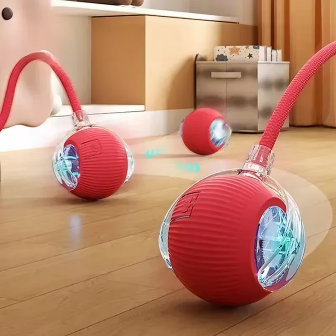 PlayPaw™ | Der Interaktive Rollball für Haustiere