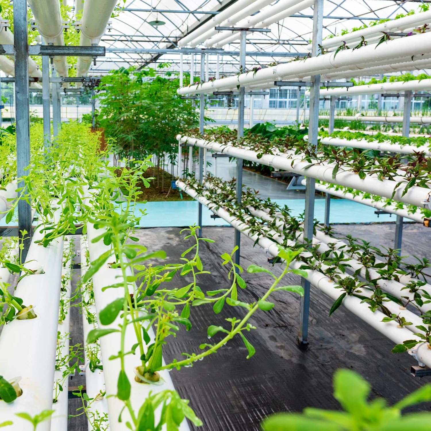 WeedGuard™ | Unkrautfrei & pflegeleicht in jeder Jahreszeit!