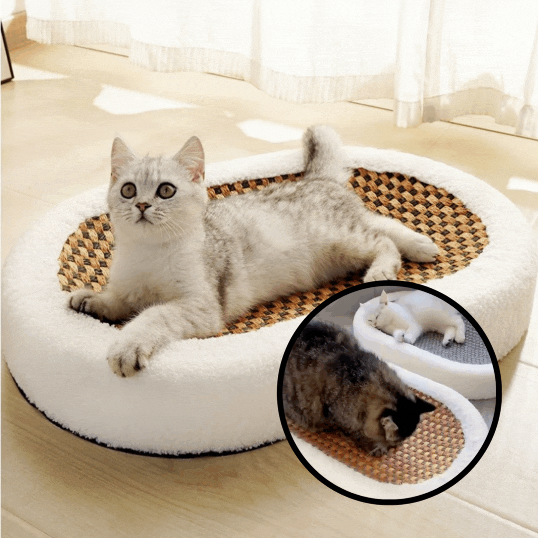 50% Rabatt | ScratchNest™ | Plüsch-Katzenkorb mit Kratzfläche