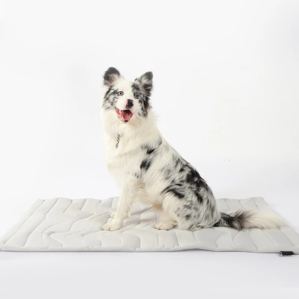 BreezeMat™ | Kühlmatte für Hunde | Chilliger Komfort den ganzen Tag lang