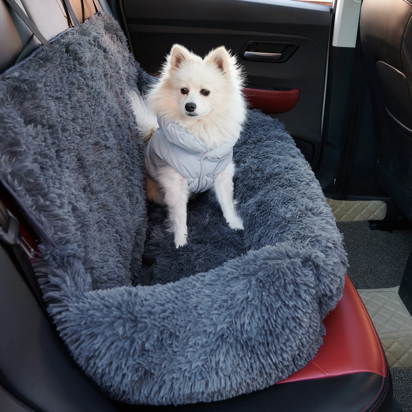 PawHaven™ | Sicherer Hafen für Hunde